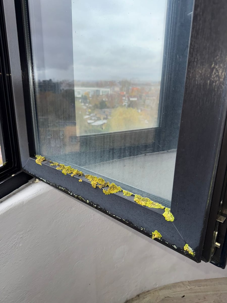 Avant — Nettoyage de vitres